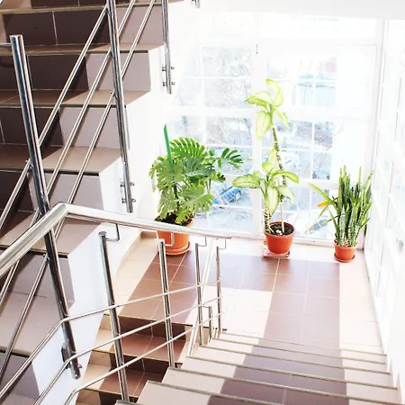 Elizeu Бухарест