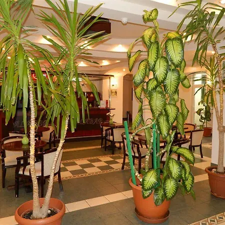 Otel Elizeu Bükreş